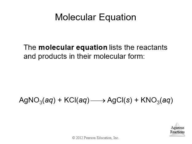 Molecular Equation